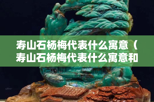 壽山石楊梅代表什么寓意（壽山石楊梅代表什么寓意和象征）