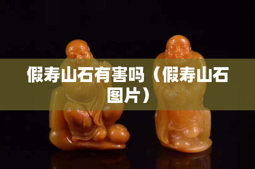 假壽山石有害嗎（假壽山石圖片）