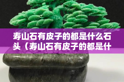 壽山石有皮子的都是什么石頭（壽山石有皮子的都是什么石頭圖片）