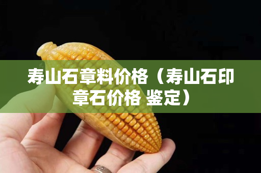 壽山石章料價格（壽山石印章石價格 鑒定）