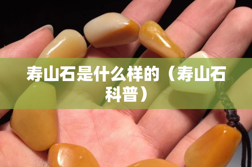 壽山石是什么樣的（壽山石科普）