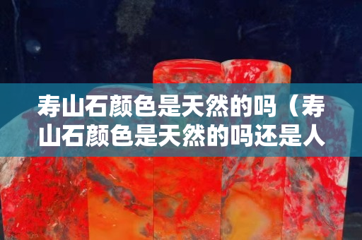 壽山石顏色是天然的嗎（壽山石顏色是天然的嗎還是人工）