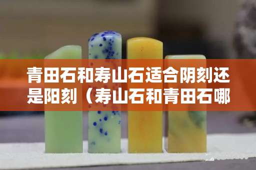 青田石和壽山石適合陰刻還是陽刻（壽山石和青田石哪個更有收藏價值）