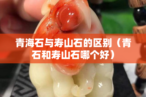 青海石與壽山石的區別（青石和壽山石哪個好）