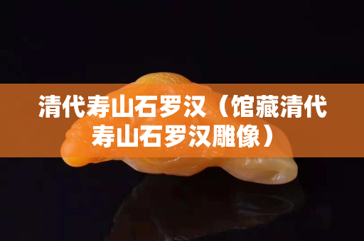 清代壽山石羅漢（館藏清代壽山石羅漢雕像）