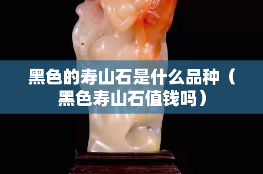 黑色的壽山石是什么品種（黑色壽山石值錢嗎）