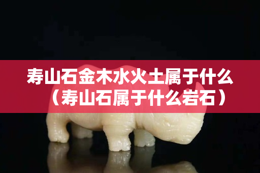 壽山石金木水火土屬于什么（壽山石屬于什么巖石）