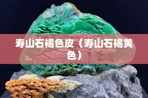 壽山石褐色皮（壽山石褐黃色）