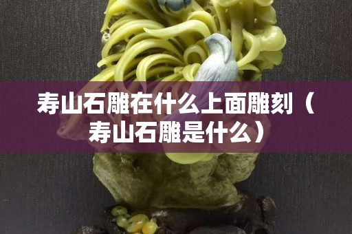 壽山石雕在什么上面雕刻（壽山石雕是什么）