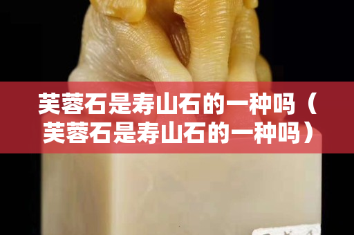 芙蓉石是壽山石的一種嗎（芙蓉石是壽山石的一種嗎）