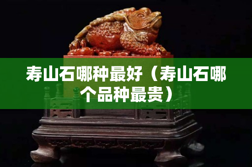 壽山石哪種最好（壽山石哪個品種最貴）