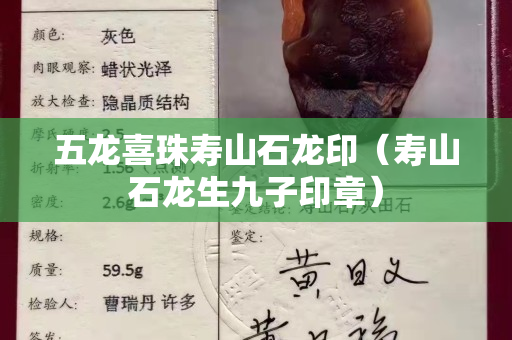 五龍喜珠壽山石龍印（壽山石龍生九子印章）