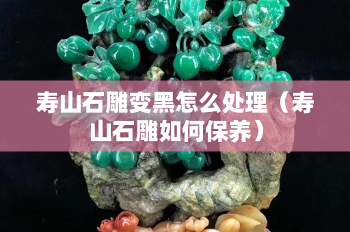 壽山石雕變黑怎么處理（壽山石雕如何保養）