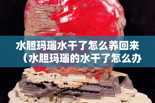 水膽瑪瑙水干了怎么養回來（水膽瑪瑙的水干了怎么辦）
