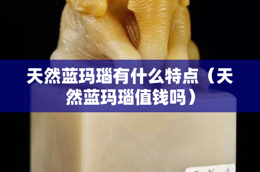 天然藍瑪瑙有什么特點（天然藍瑪瑙值錢嗎）