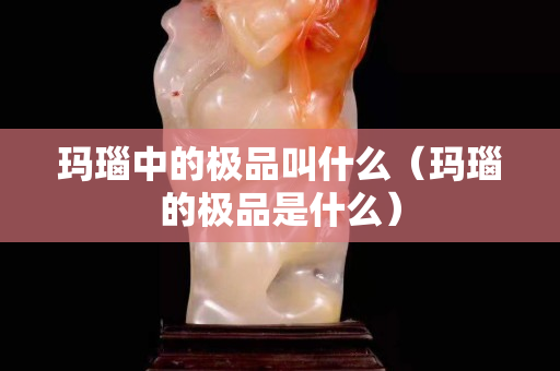 瑪瑙中的極品叫什么（瑪瑙的極品是什么）