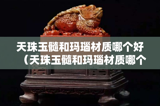 天珠玉髓和瑪瑙材質(zhì)哪個(gè)好（天珠玉髓和瑪瑙材質(zhì)哪個(gè)好一些）