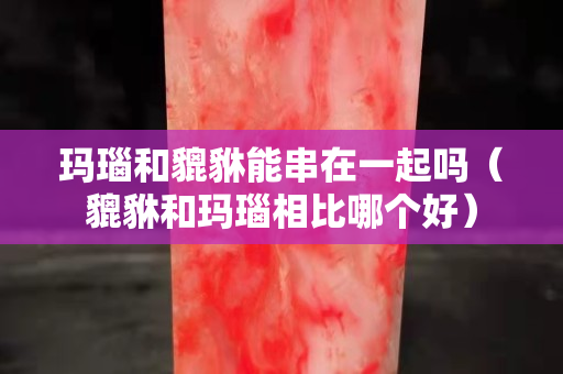 瑪瑙和貔貅能串在一起嗎（貔貅和瑪瑙相比哪個好）