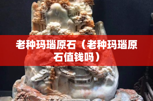 老種瑪瑙原石（老種瑪瑙原石值錢嗎）