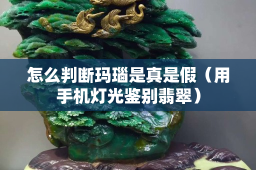 怎么判斷瑪瑙是真是假（用手機燈光鑒別翡翠）