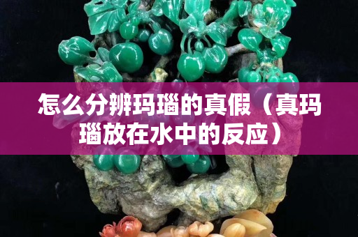 怎么分辨瑪瑙的真假（真瑪瑙放在水中的反應(yīng)）