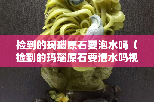 撿到的瑪瑙原石要泡水嗎（撿到的瑪瑙原石要泡水嗎視頻）