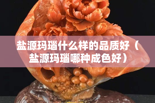 鹽源瑪瑙什么樣的品質(zhì)好（鹽源瑪瑙哪種成色好）