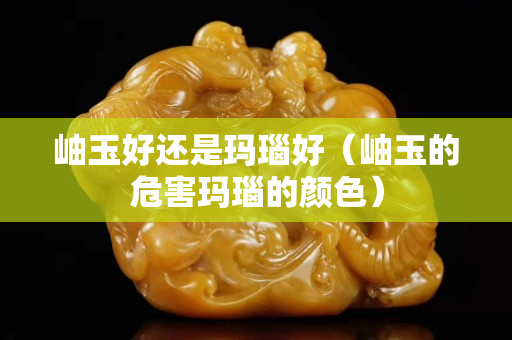 岫玉好還是瑪瑙好（岫玉的危害瑪瑙的顏色）
