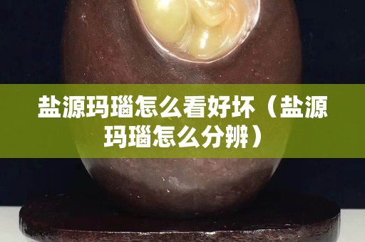 鹽源瑪瑙怎么看好壞（鹽源瑪瑙怎么分辨）