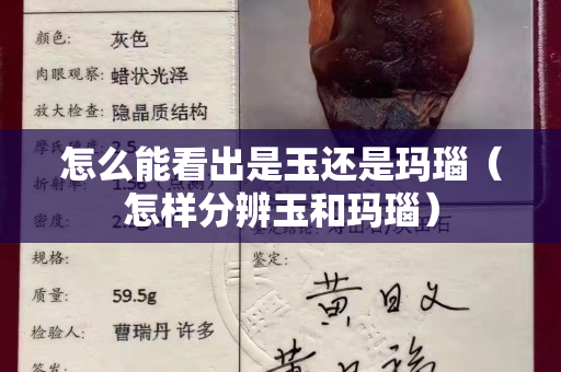 怎么能看出是玉還是瑪瑙（怎樣分辨玉和瑪瑙）