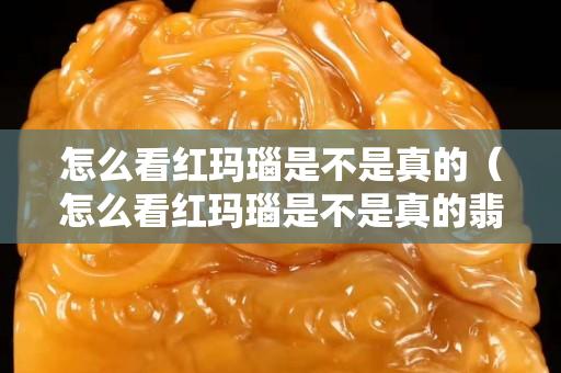 怎么看紅瑪瑙是不是真的（怎么看紅瑪瑙是不是真的翡翠）