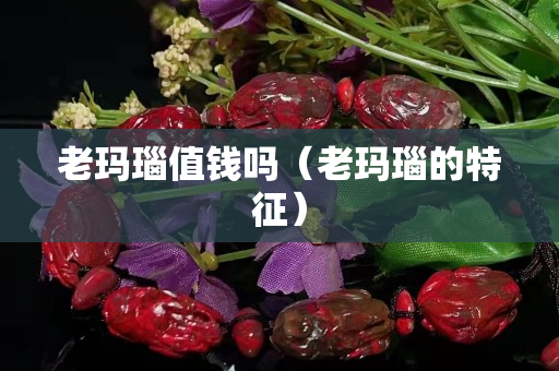 老瑪瑙值錢嗎（老瑪瑙的特征）