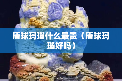 唐球瑪瑙什么最貴（唐球瑪瑙好嗎）