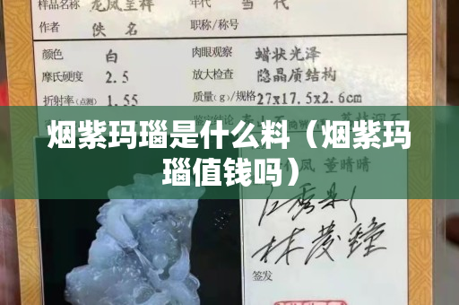 煙紫瑪瑙是什么料（煙紫瑪瑙值錢嗎）