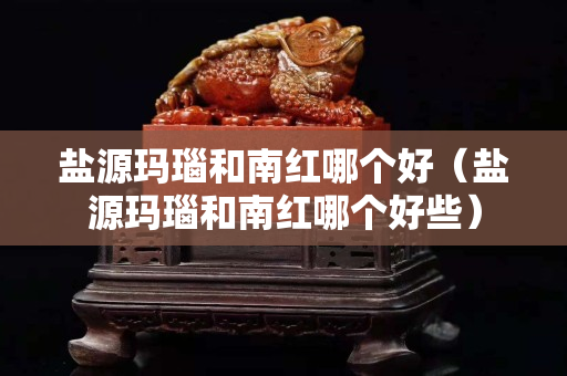 鹽源瑪瑙和南紅哪個好（鹽源瑪瑙和南紅哪個好些）