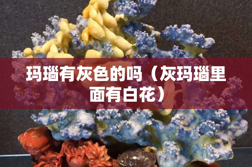 瑪瑙有灰色的嗎（灰瑪瑙里面有白花）