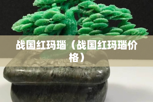 戰(zhàn)國紅瑪瑙（戰(zhàn)國紅瑪瑙價格）