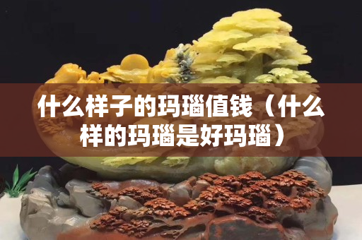 什么樣子的瑪瑙值錢（什么樣的瑪瑙是好瑪瑙）