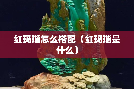 紅瑪瑙怎么搭配（紅瑪瑙是什么）