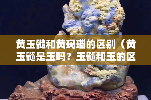 黃玉髓和黃瑪瑙的區(qū)別（黃玉髓是玉嗎？玉髓和玉的區(qū)別）