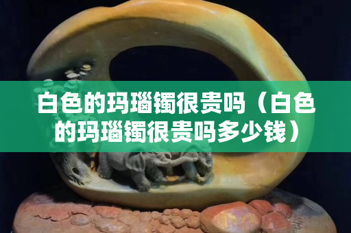 白色的瑪瑙鐲很貴嗎（白色的瑪瑙鐲很貴嗎多少錢）
