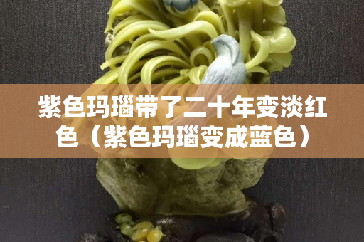 紫色瑪瑙帶了二十年變淡紅色（紫色瑪瑙變成藍色）