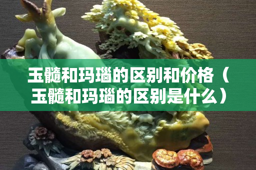 玉髓和瑪瑙的區別和價格（玉髓和瑪瑙的區別是什么）
