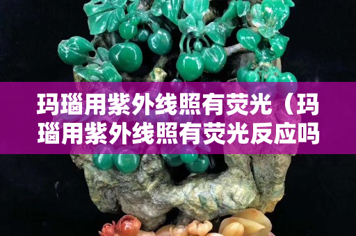 瑪瑙用紫外線照有熒光（瑪瑙用紫外線照有熒光反應嗎）