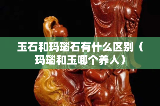 玉石和瑪瑙石有什么區別（瑪瑙和玉哪個養人）