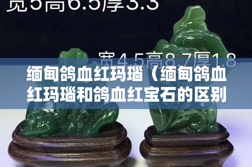 緬甸鴿血紅瑪瑙（緬甸鴿血紅瑪瑙和鴿血紅寶石的區別）