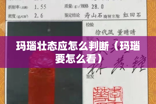 瑪瑙壯態(tài)應(yīng)怎么判斷（瑪瑙要怎么看）