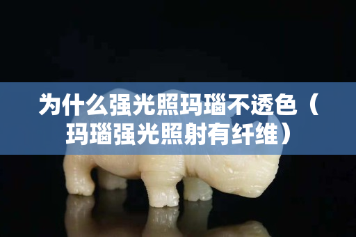 為什么強光照瑪瑙不透色（瑪瑙強光照射有纖維）