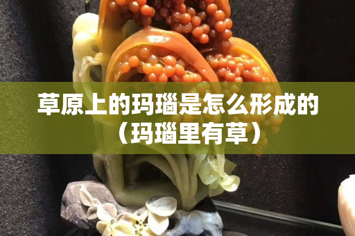 草原上的瑪瑙是怎么形成的（瑪瑙里有草）