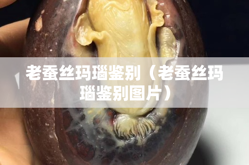老蠶絲瑪瑙鑒別（老蠶絲瑪瑙鑒別圖片）